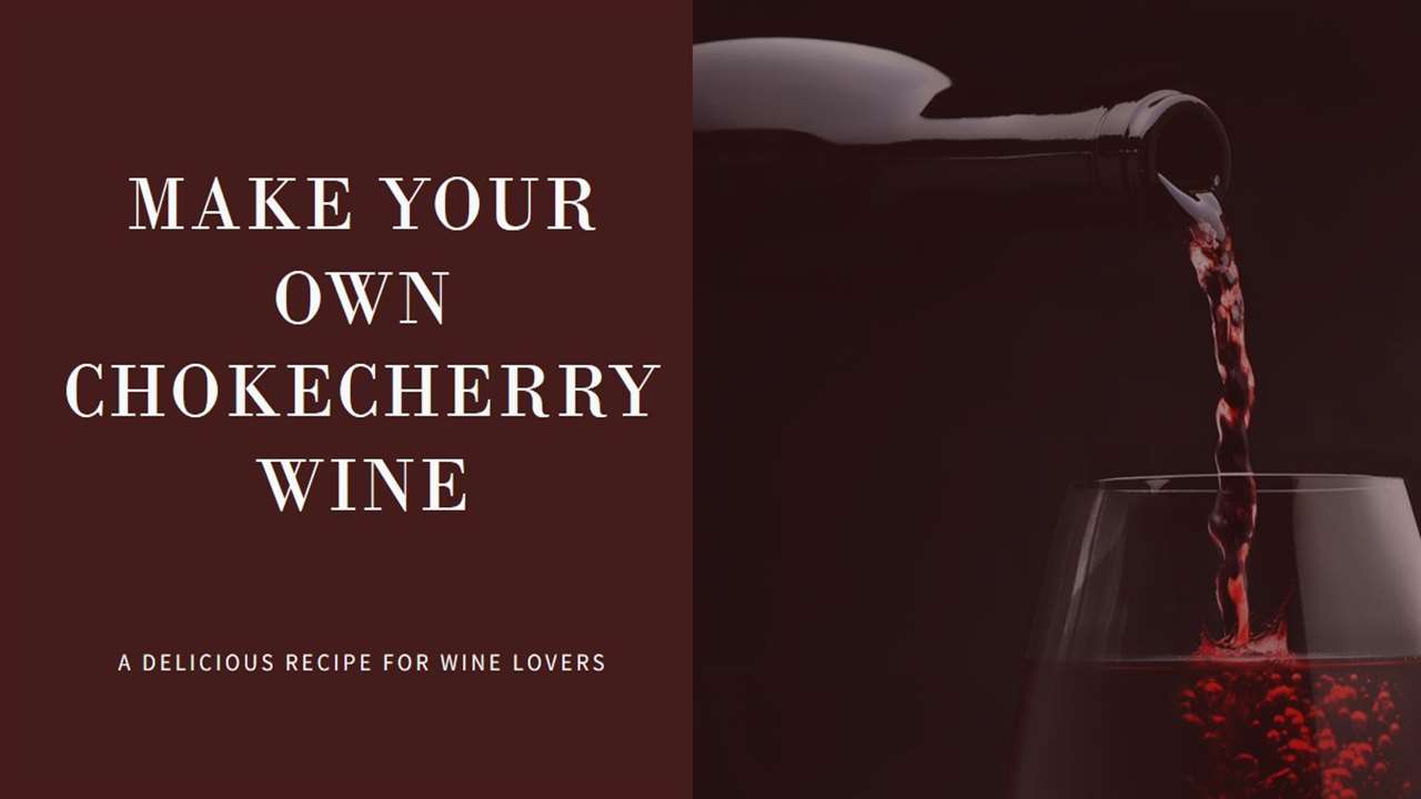 Chokecherry Wine Recipe